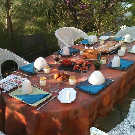 L'Ostal Du Pic St Loup Bed and Breakfast Saint-Jean-de-Cuculles Εξωτερικό φωτογραφία